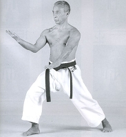 Tradition shito-ryu karate-do / Традиционное каратэ-до сито рю артикул 8272c.